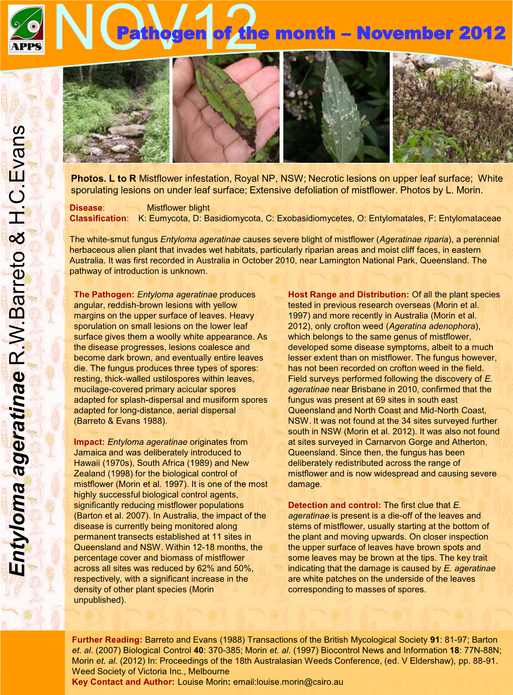 Entyloma Ageratinae R.W.Barreto & H.C.Evans NOV12 Pathway of Introduction Is Unknown