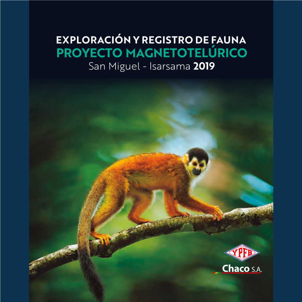 EXPLORACIÓN Y REGISTRO DE FAUNA PROYECTO MAGNETOTELÚRICO San Miguel - Isarsama 2019