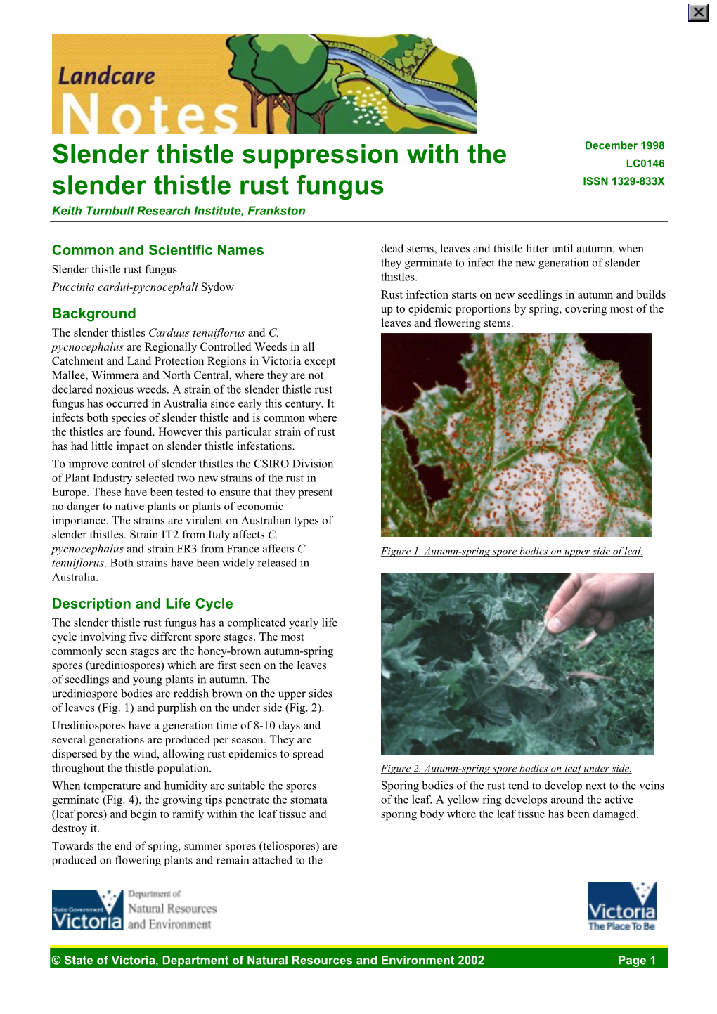 Slender Thistle Suppression with the Slender Thistle Rust Fungus (DSE Vic)