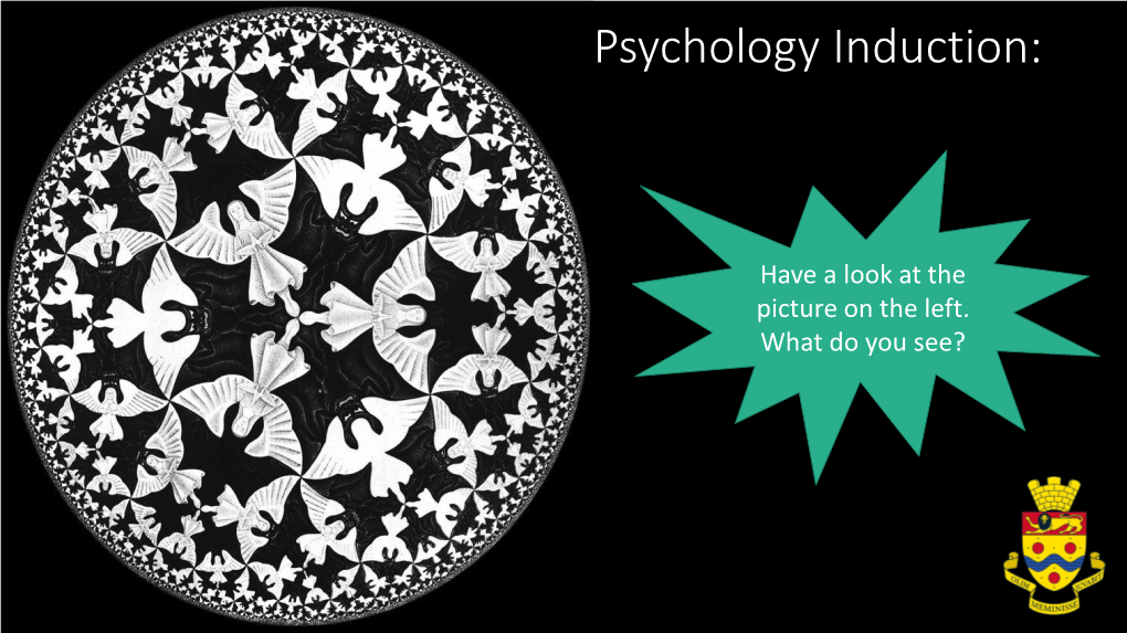 Social Psychology Induction