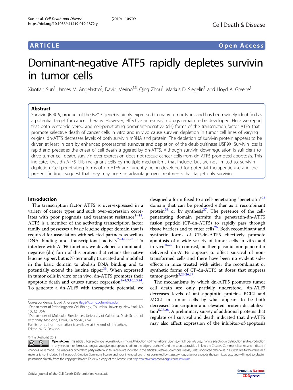 Dominant-Negative ATF5 Rapidly Depletes Survivin in Tumor Cells Xiaotian Sun1,Jamesm.Angelastro2,Davidmerino1,3, Qing Zhou1, Markus D