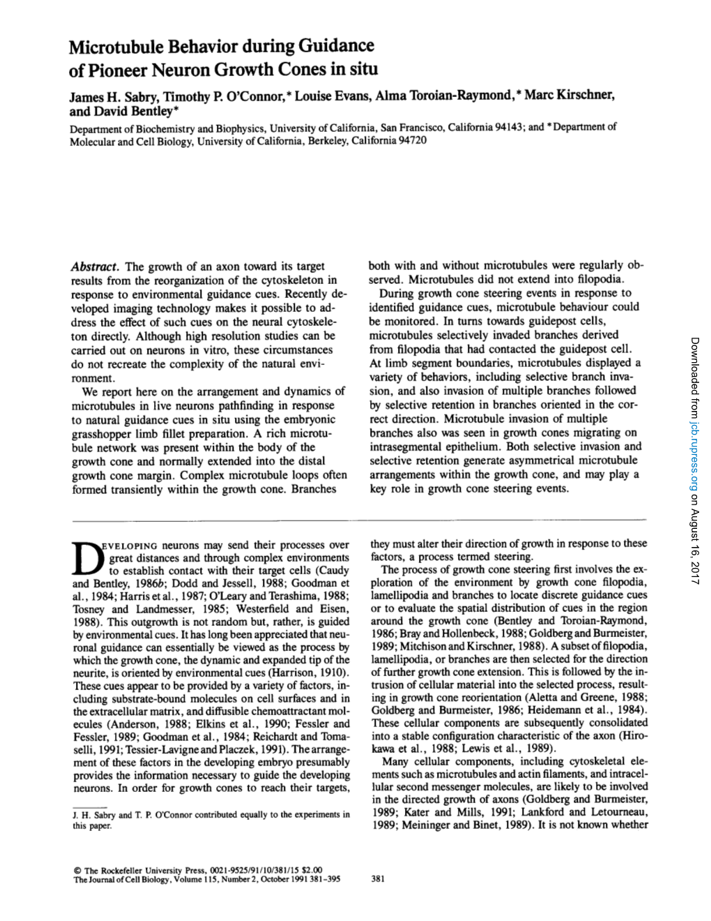 Microtubule Behavior During Guidance of Pioneer Neuron Growth Cones in Situ James H