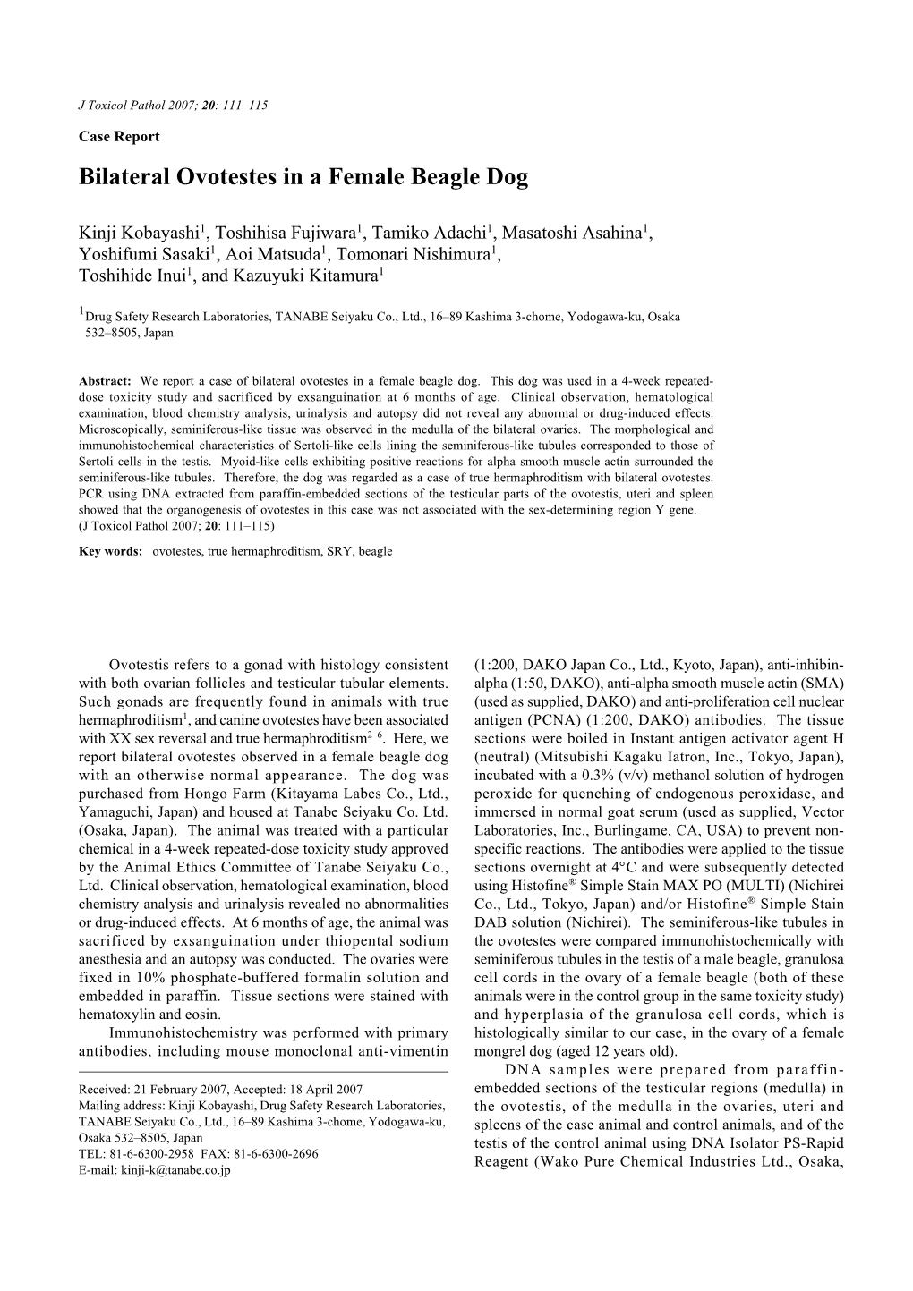 Bilateral Ovotestes in a Female Beagle Dog