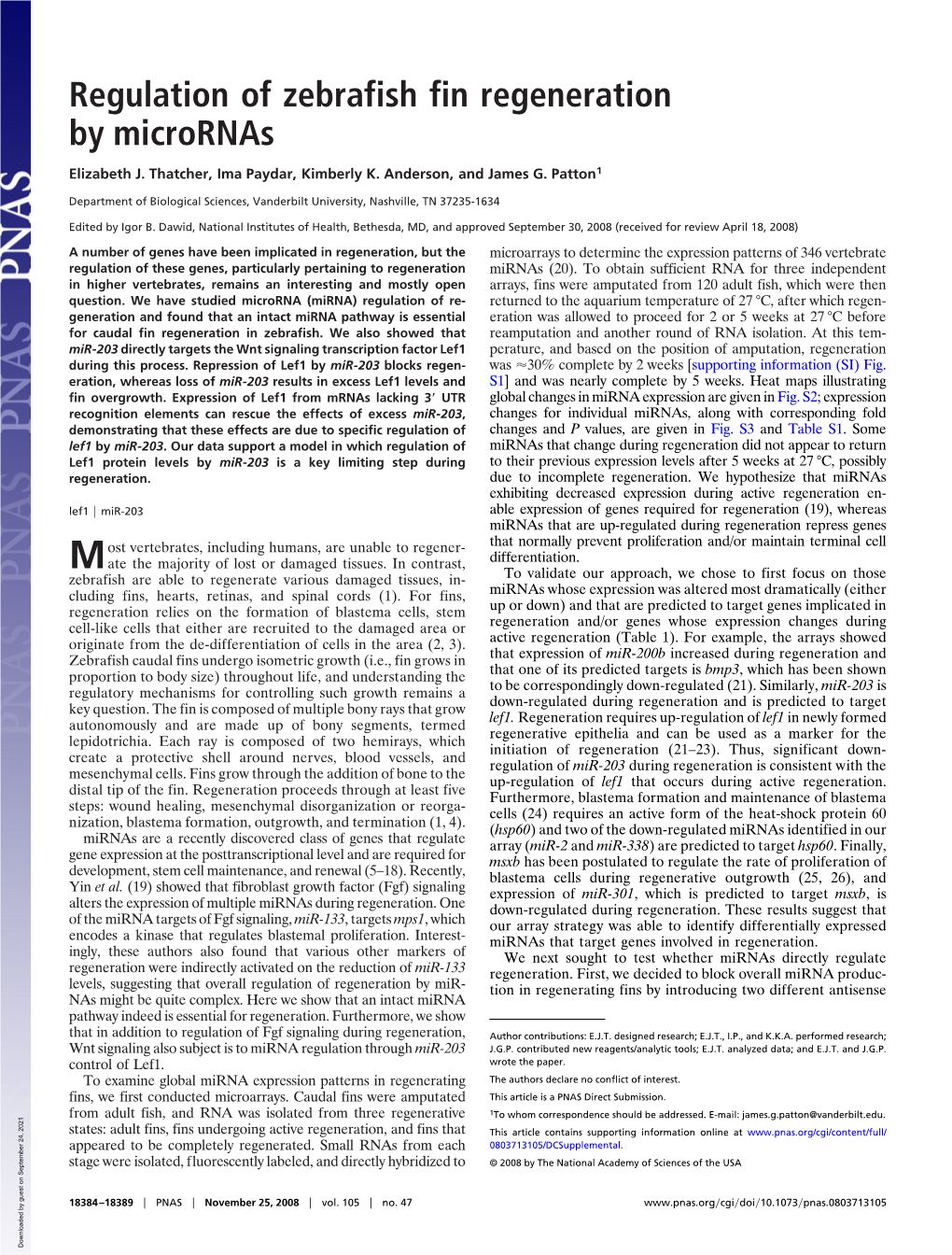 Regulation of Zebrafish Fin Regeneration by Micrornas