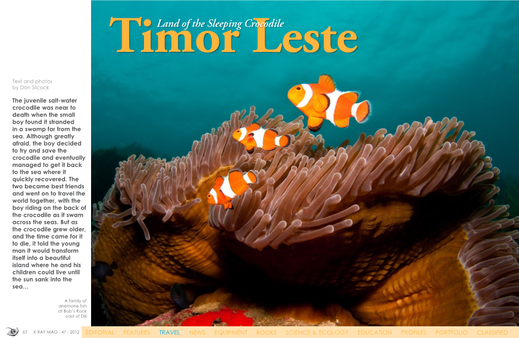 Timor Leste Travel in Dili; Painted Crocodile Model at Arte Moris