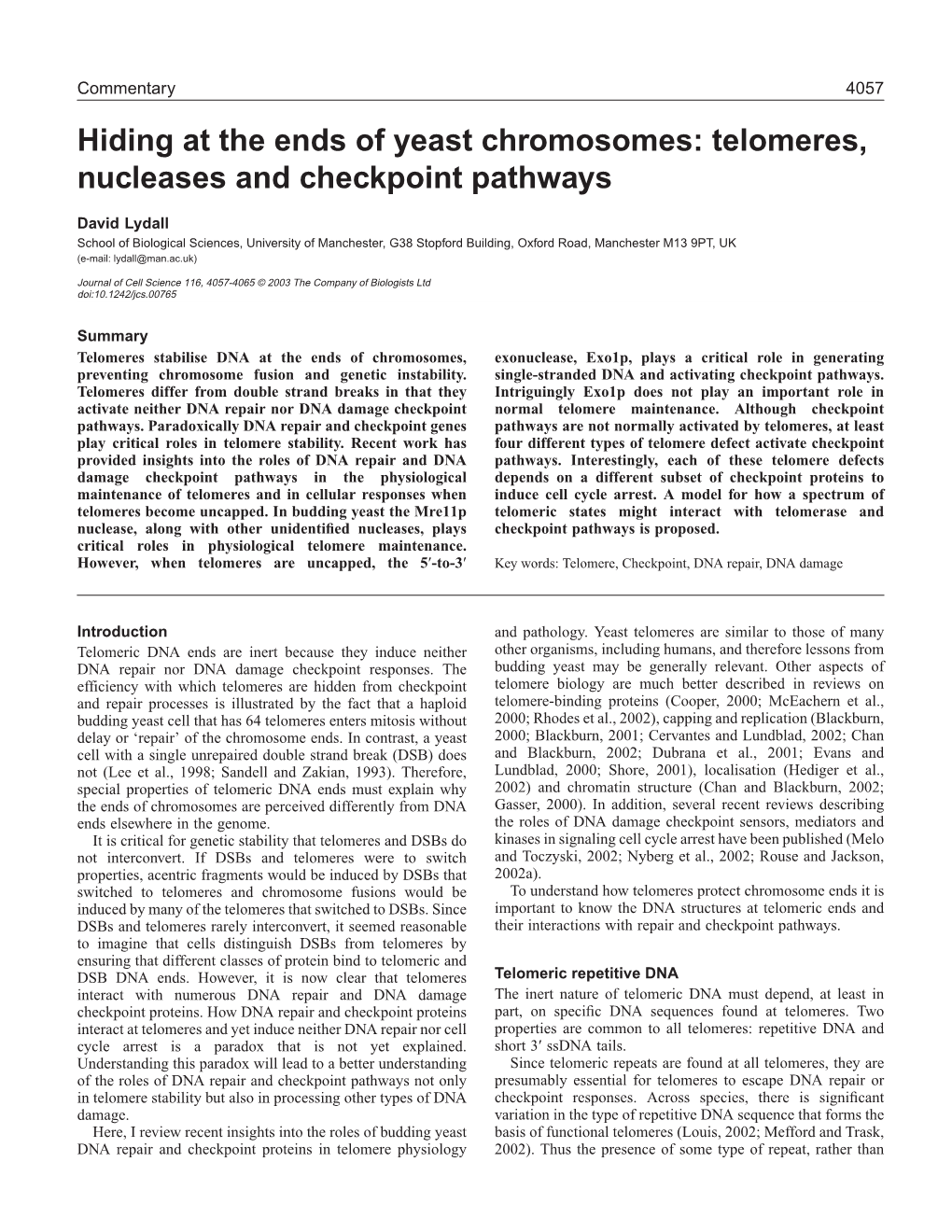 Telomeres, Nucleases and Checkpoint Pathways