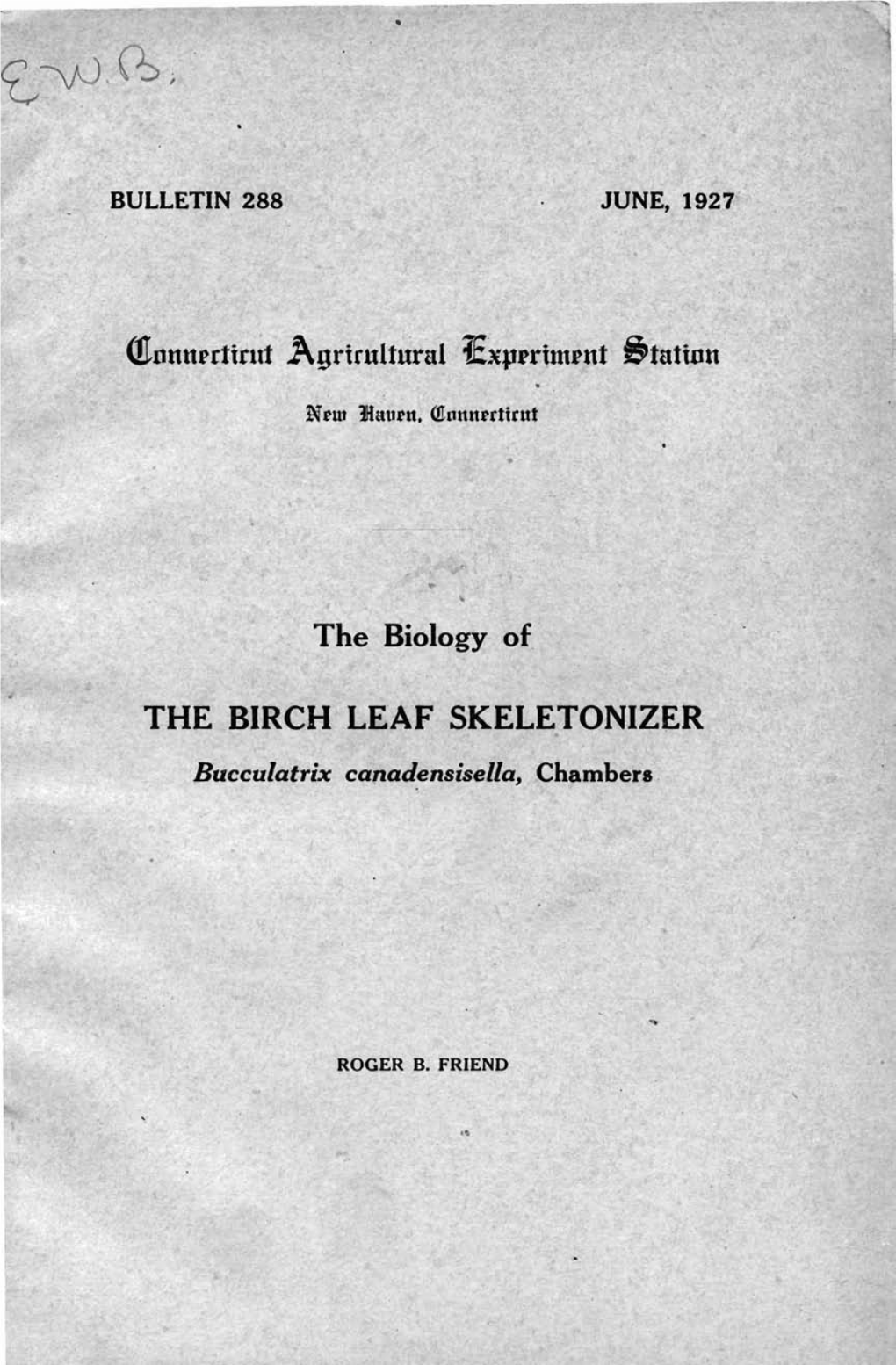 The Biology of the Birch Leaf Skeletonizer, Bucculatrix