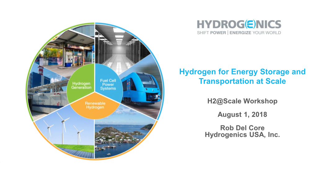 Hydrogen for Energy Storage and Transportation at Scale