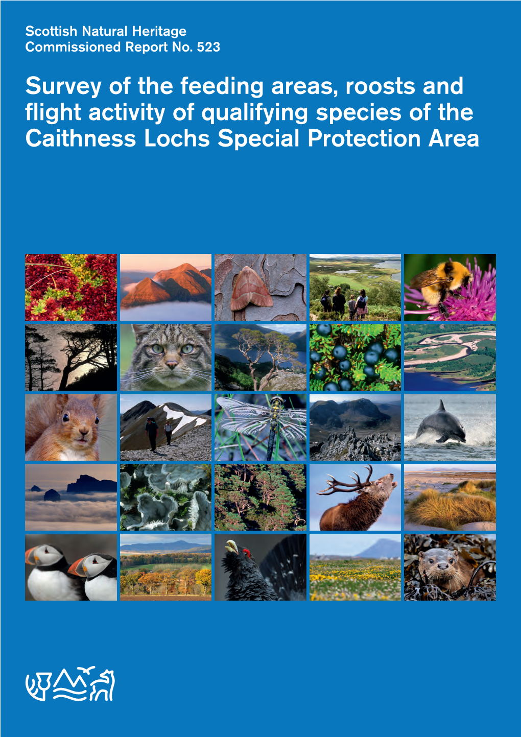 Survey of the Feeding Areas, Roosts and Flight Activity of Qualifying Species of the Caithness Lochs Special Protection Area