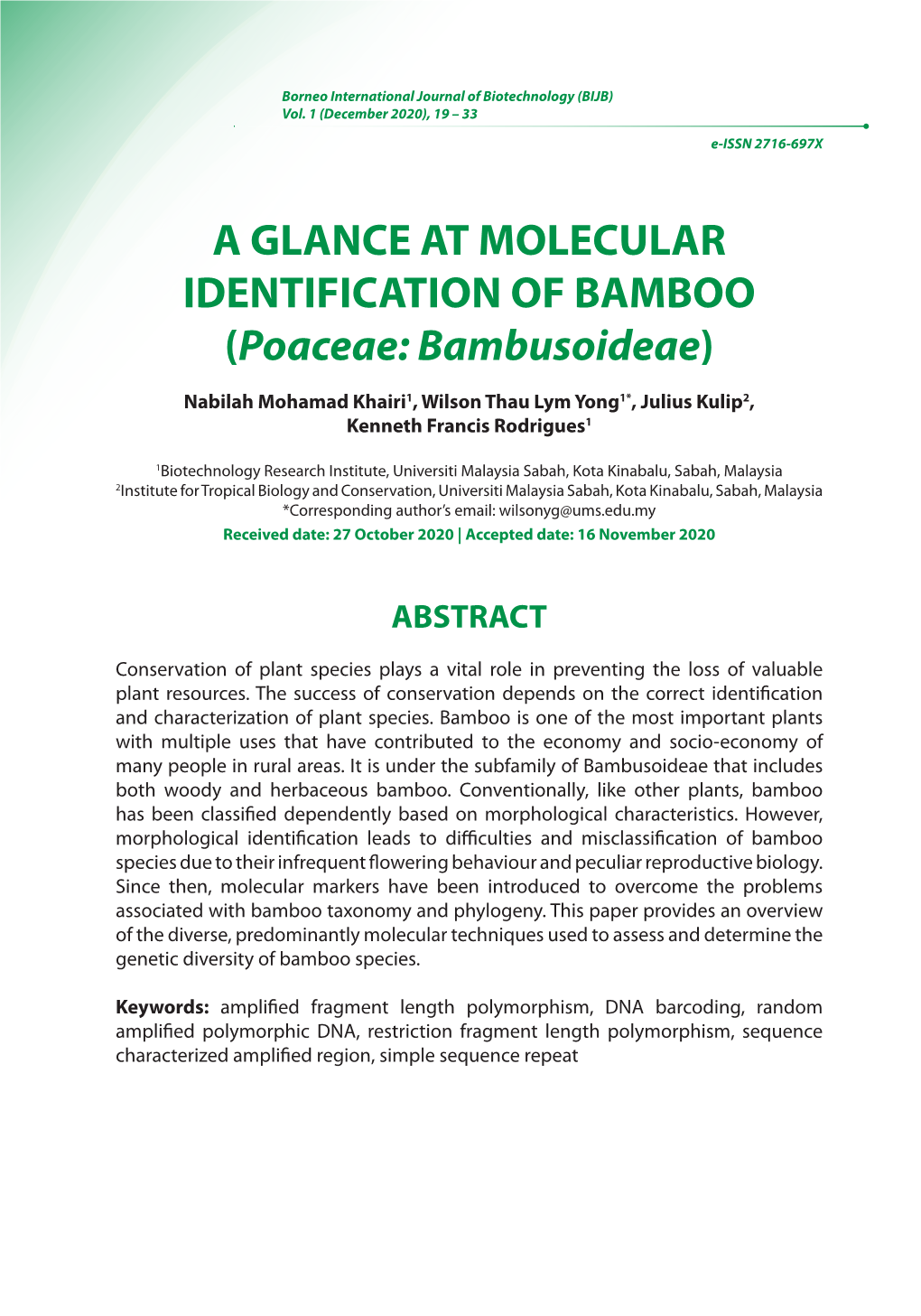 A GLANCE at MOLECULAR IDENTIFICATION of BAMBOO (Poaceae: Bambusoideae)