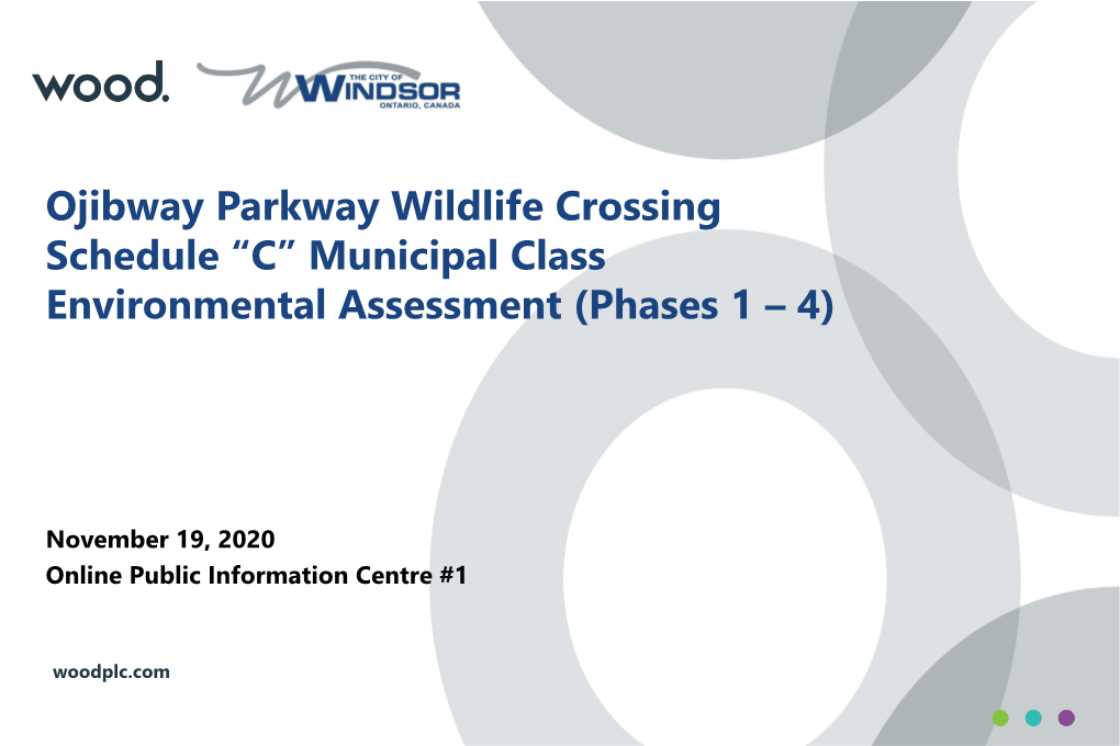 Ojibway Parkway Wildlife Crossing Schedule “C” Municipal Class Environmental Assessment (Phases 1 – 4)