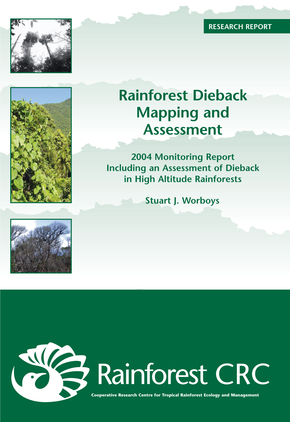 Rainforest Dieback Mapping and Assessment