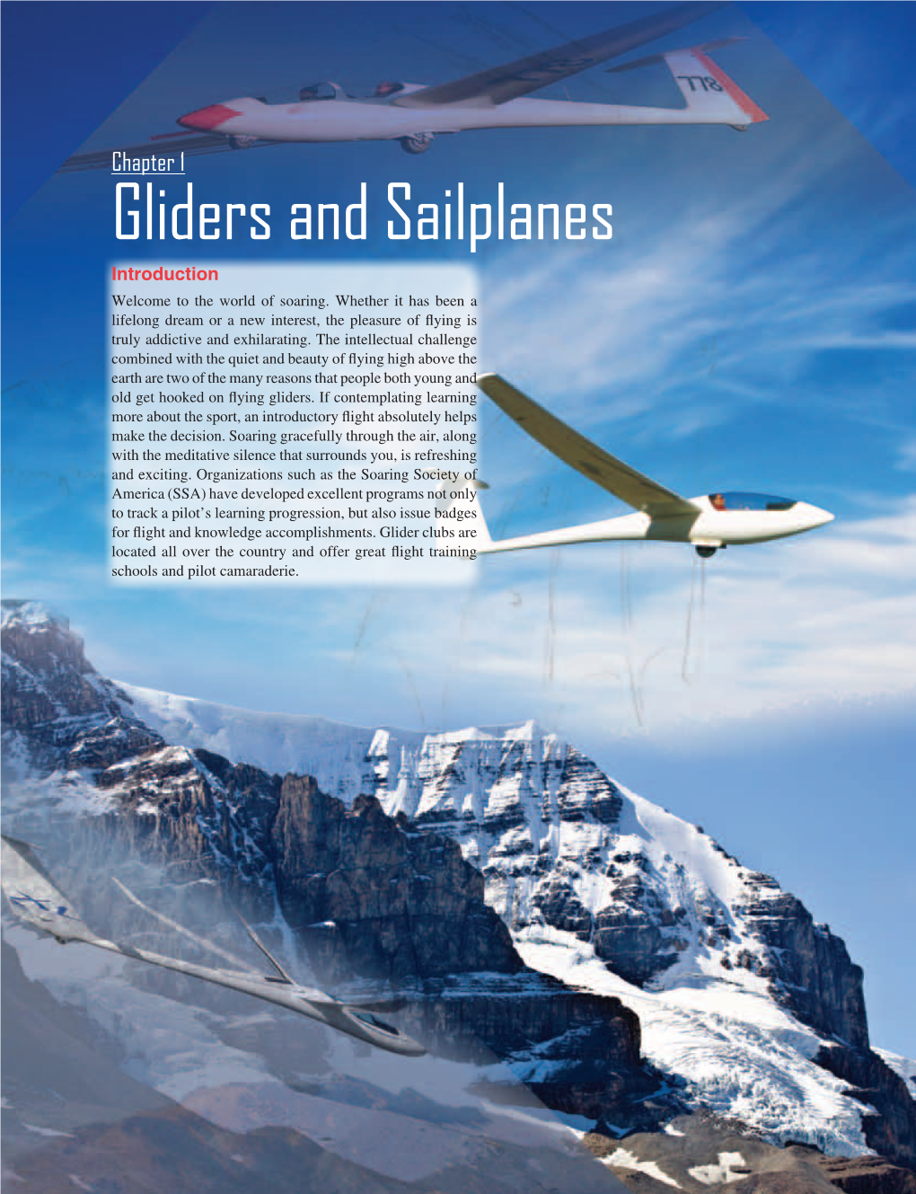 Chapter 1 Gliders and Sailplanes Introduction Welcome to the World of Soaring