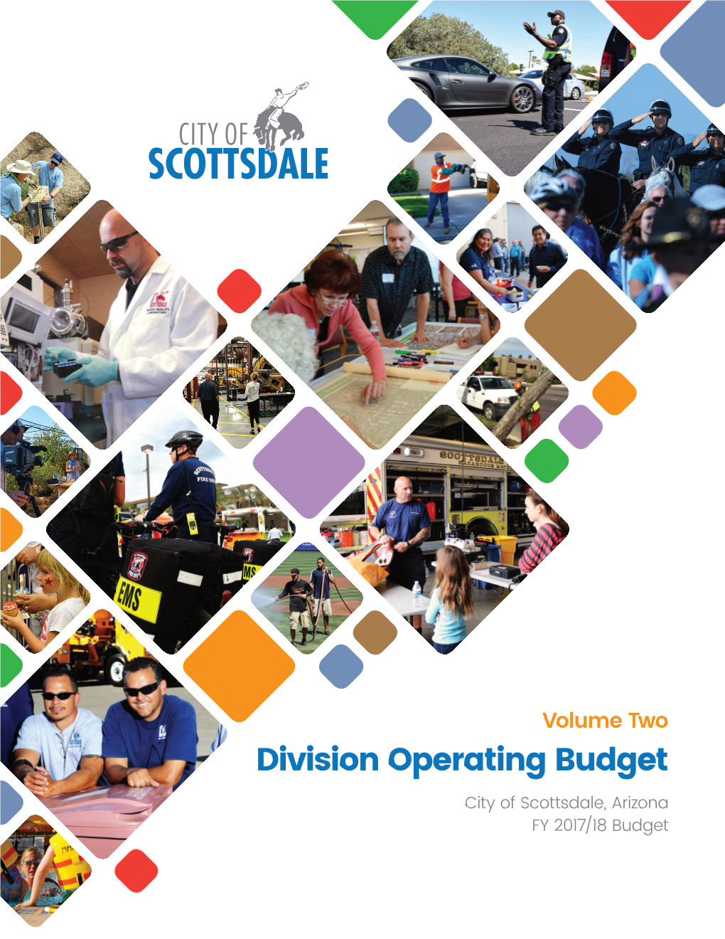 FY 2017-18 Volume 2 Division Operating Budget