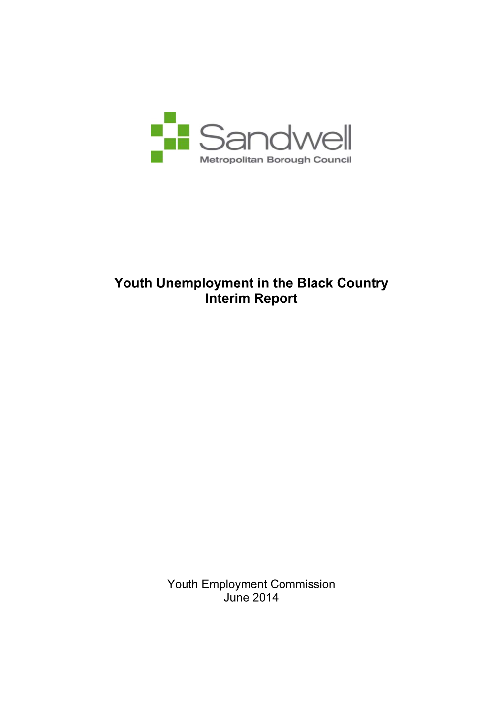 Youth Employment Commission Interim Report