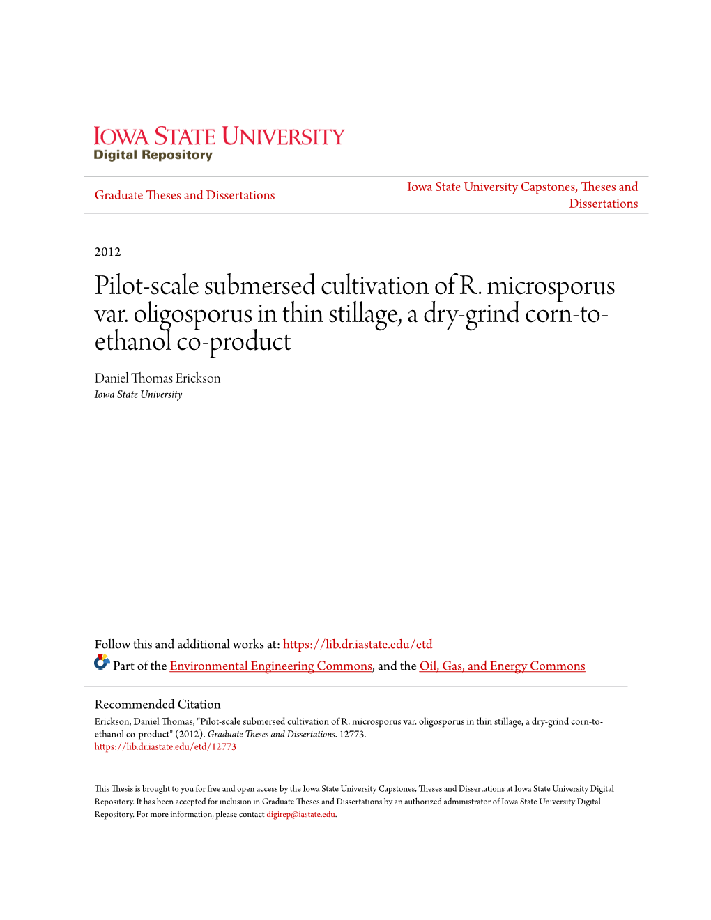 Pilot-Scale Submersed Cultivation of R. Microsporus Var. Oligosporus In