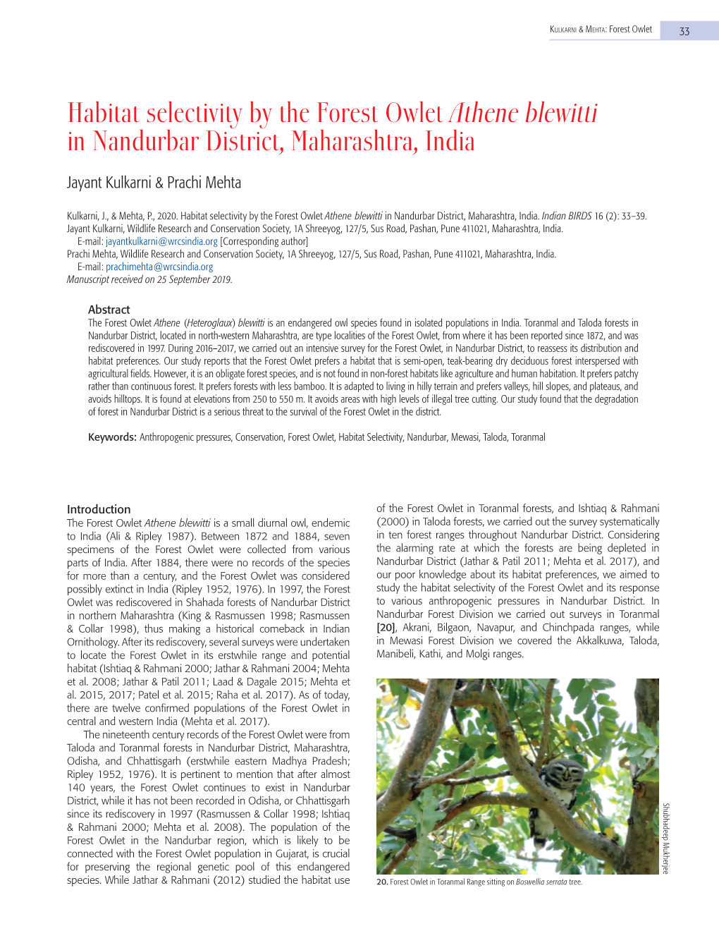 Habitat Selectivity by the Forest Owlet Athene Blewitti in Nandurbar District, Maharashtra, India