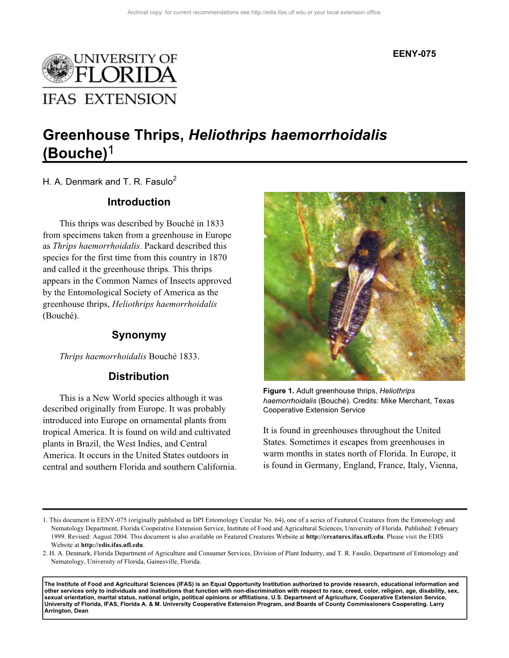 Greenhouse Thrips, Heliothrips Haemorrhoidalis (Bouche)1