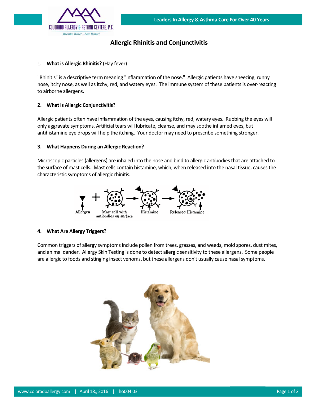 Allergic Rhinitis and Conjunctivitis