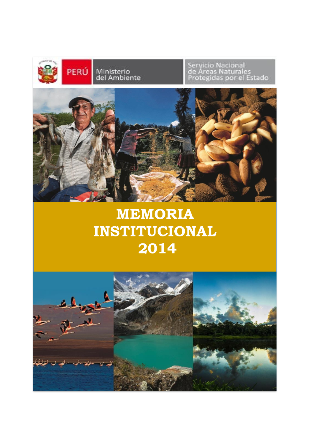 Memoria Institucional 2014 Memoria Institucional 2014