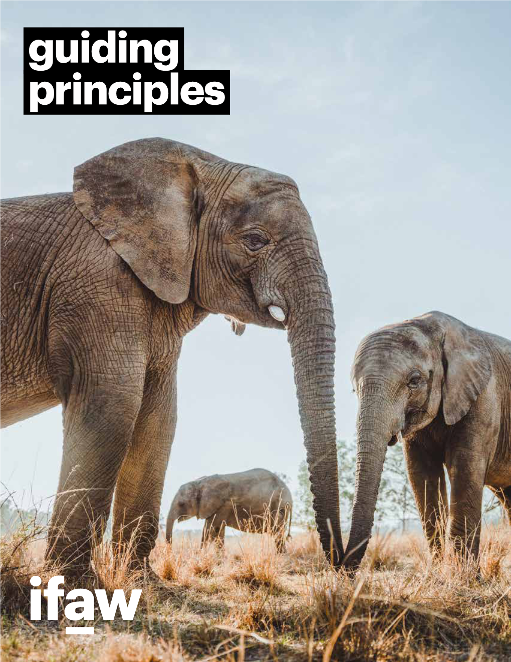 Guiding Principles Contents