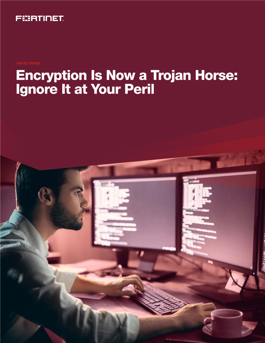 Encryption Is Now a Trojan Horse: Ignore It at Your Peril Executive Summary the Game of Leapfrog Between Hackers and Data Security Professionals Continues