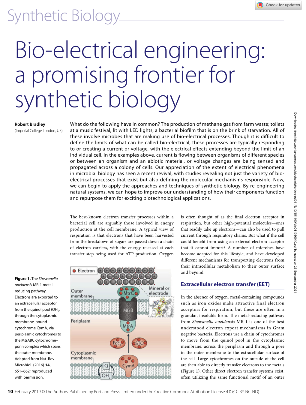 Bio-Electrical Engineering: a Promising Frontier for Synthetic Biology