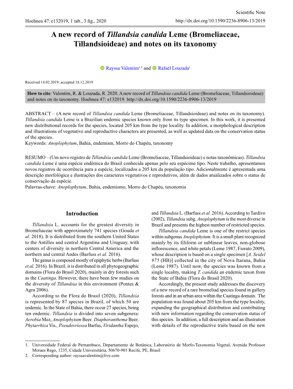 A New Record of Tillandsia Candida Leme (Bromeliaceae, Tillandsioideae) and Notes on Its Taxonomy