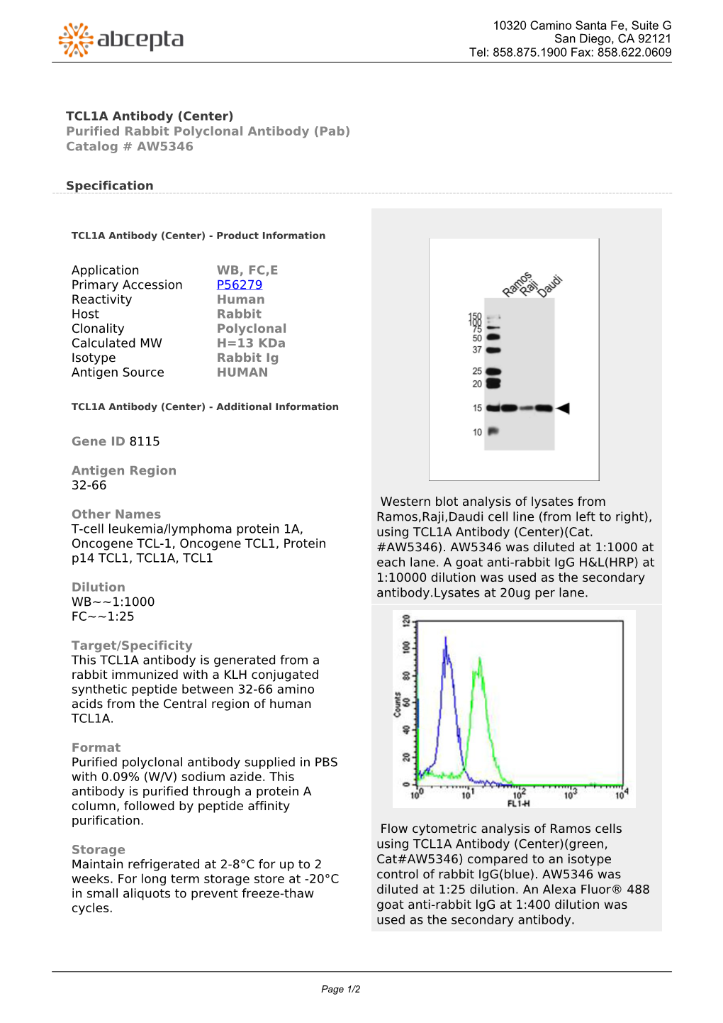 TCL1A Antibody (Center) Purified Rabbit Polyclonal Antibody (Pab) Catalog # AW5346