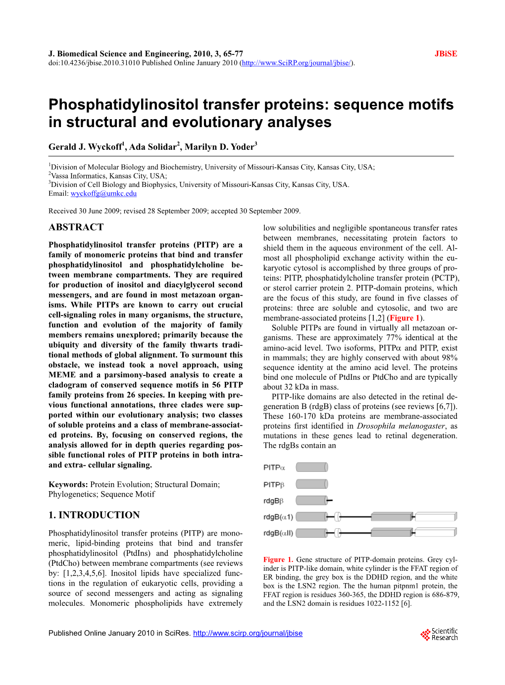 Phosphatidylinositol Transfer Proteins: Sequence Motifs in Structural and Evolutionary Analyses