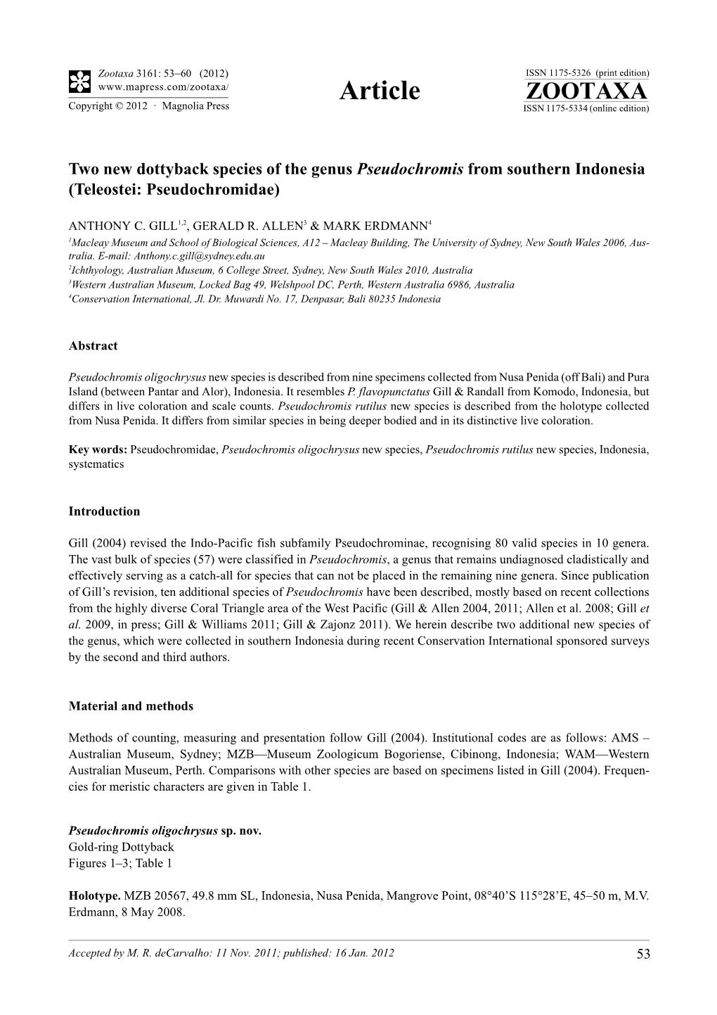 Two New Dottyback Species of the Genus Pseudochromis from Southern Indonesia (Teleostei: Pseudochromidae)