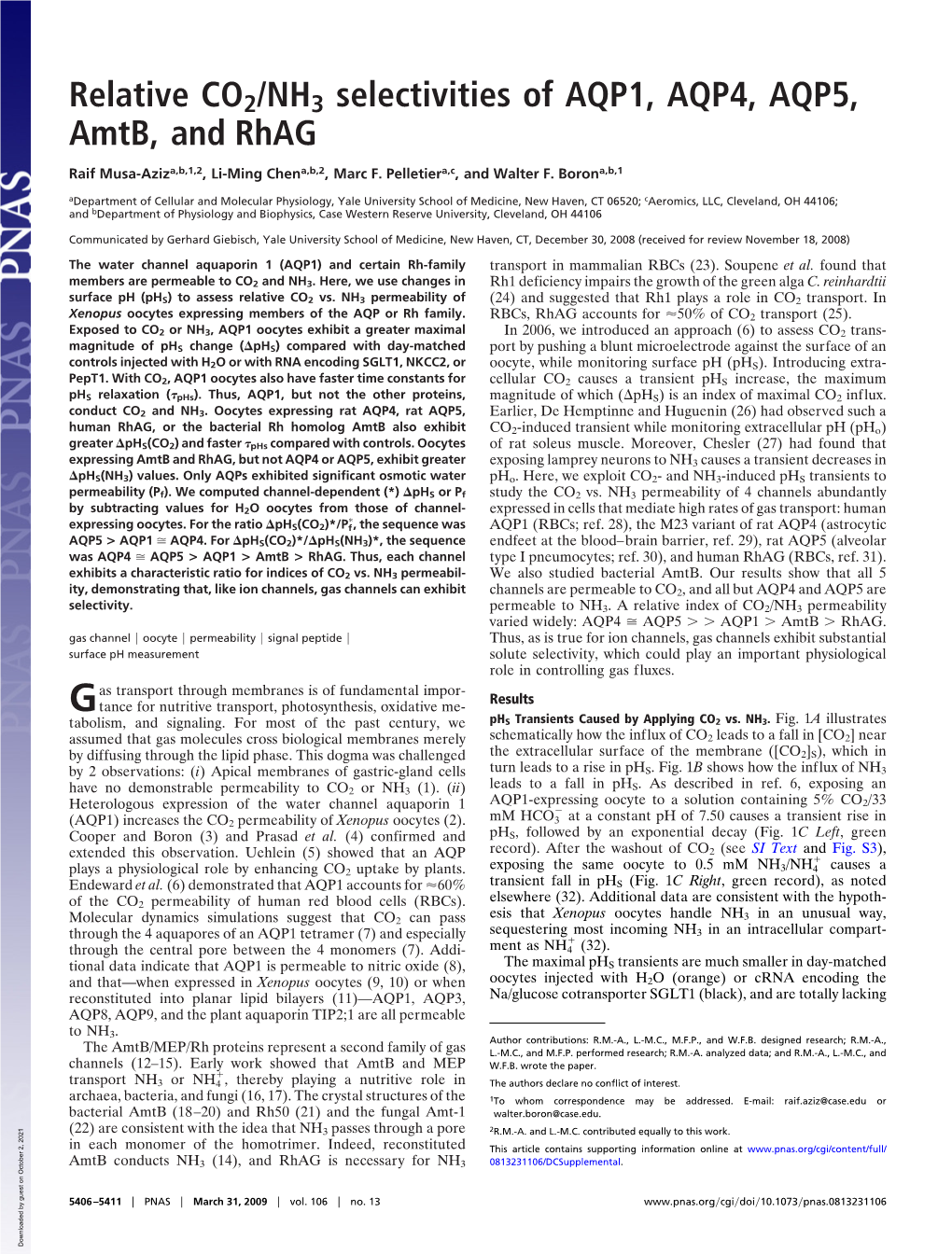 Relative CO2/NH3 Selectivities of AQP1, AQP4, AQP5, Amtb, and Rhag