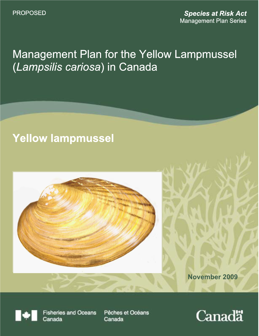 Management Plan for the Yellow Lampmussel (Lampsilis Cariosa) in Canada