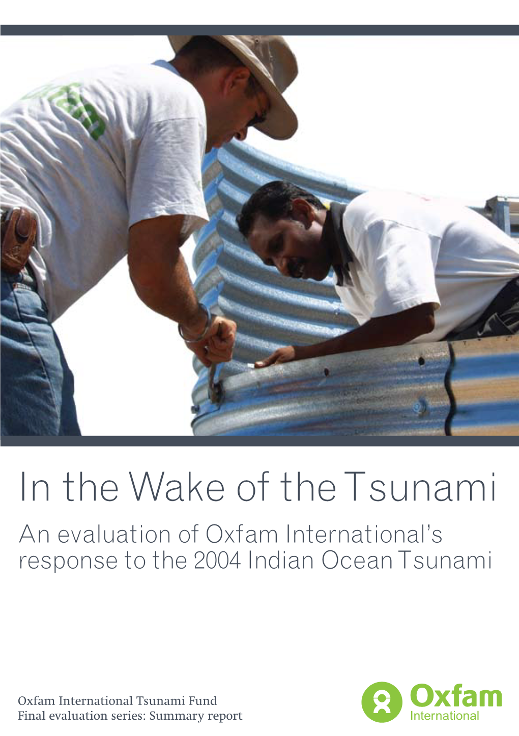 In the Wake of the Tsunami: an Evaluation Of