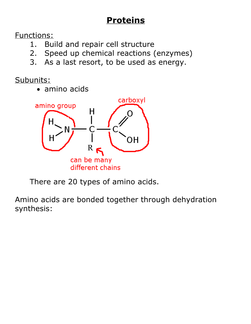 1. Build and Repair Cell Structure