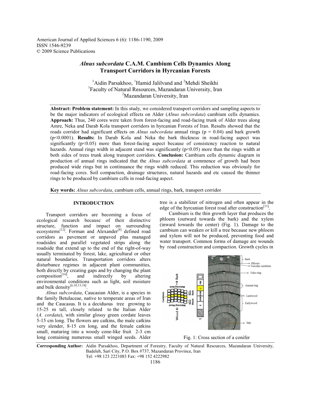 Alnus Subcordata C.A.M. Cambium Cells Dynamics Along Transport Corridors in Hyrcanian Forests