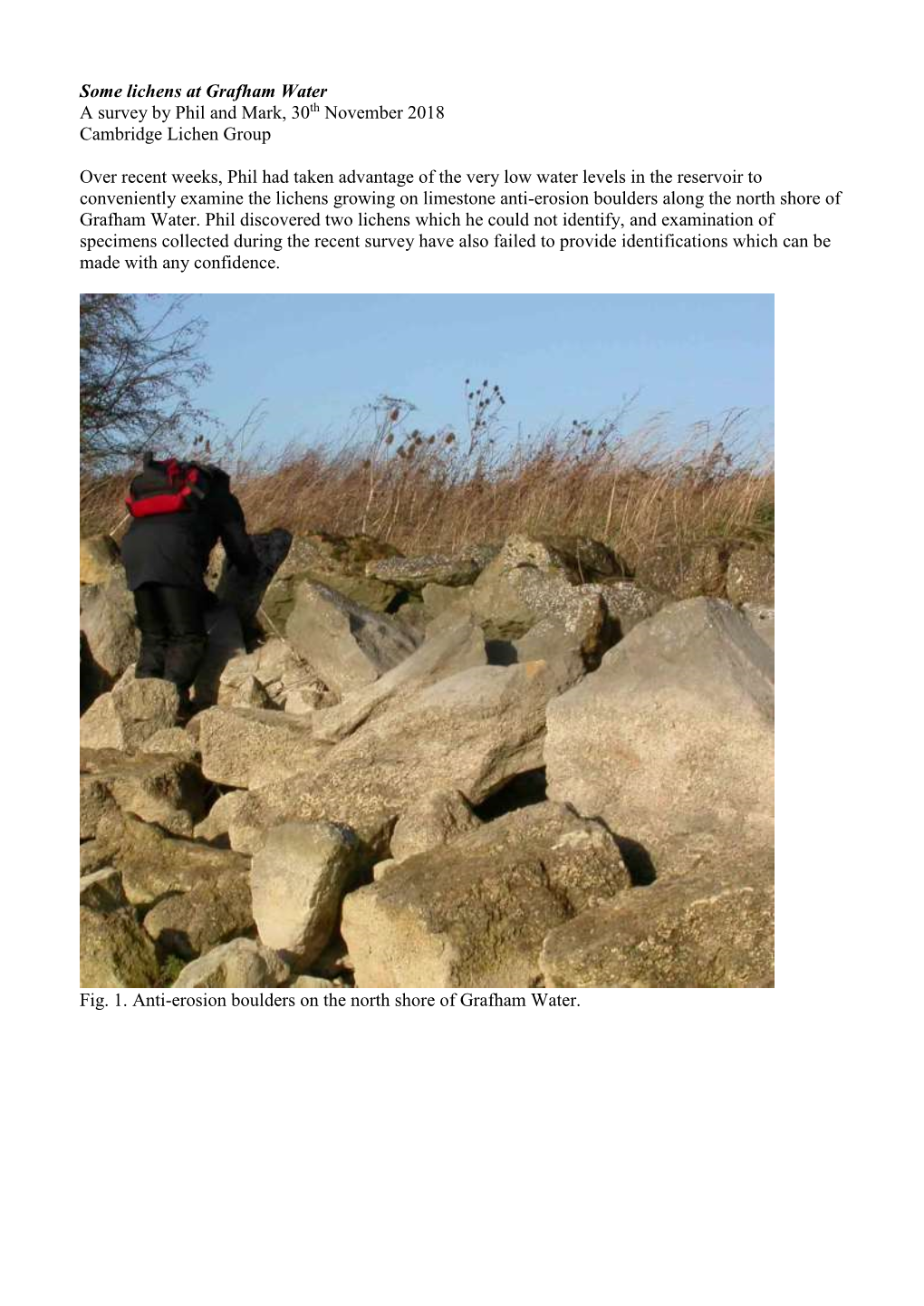 Some Lichens Recorded During the HFFS Outing, 21St April 2013 Markpowell222@Btinternet.Com