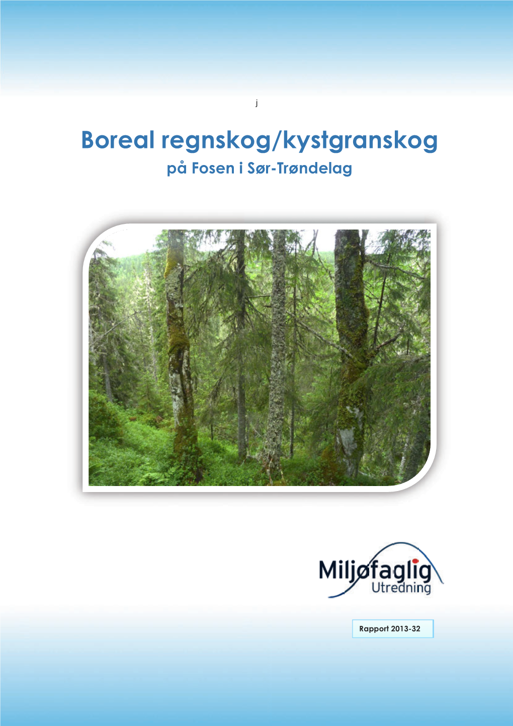 Boreal Regnskog/Kystgranskog På Fosen I Sør-Trøndelag