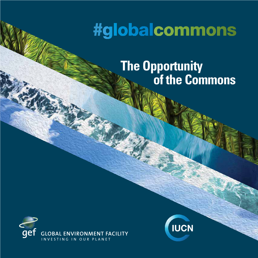 The Opportunity of the Commons