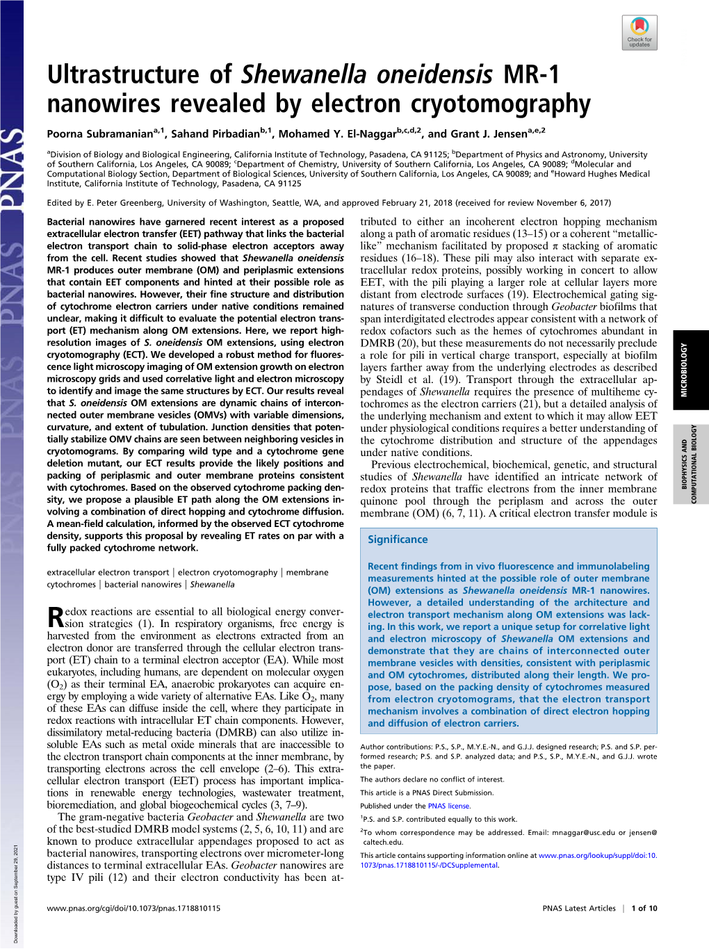 Ultrastructure of Shewanella Oneidensis MR-1 Nanowires