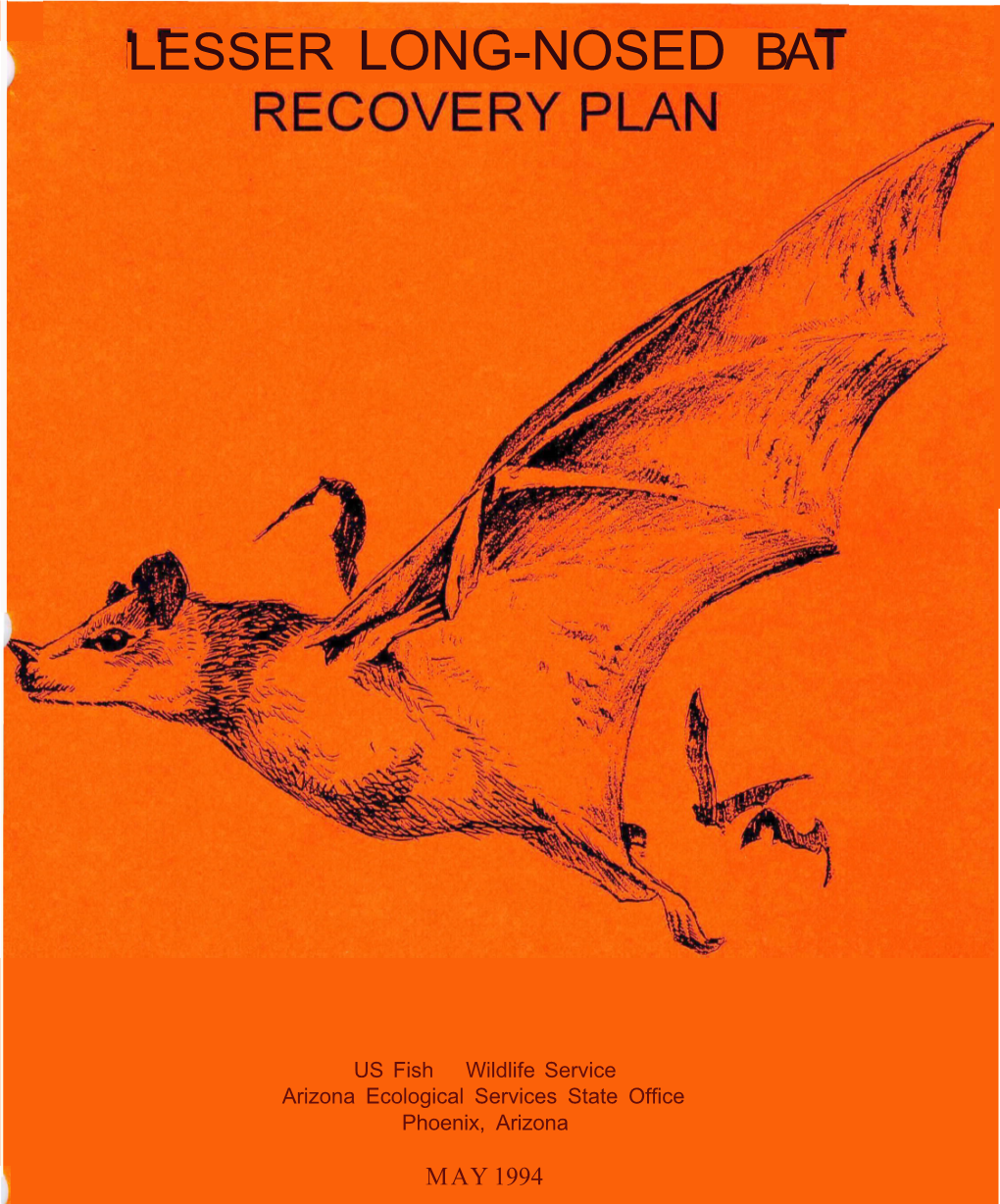 Lesser Long-Nosed Bat Recovery Plan