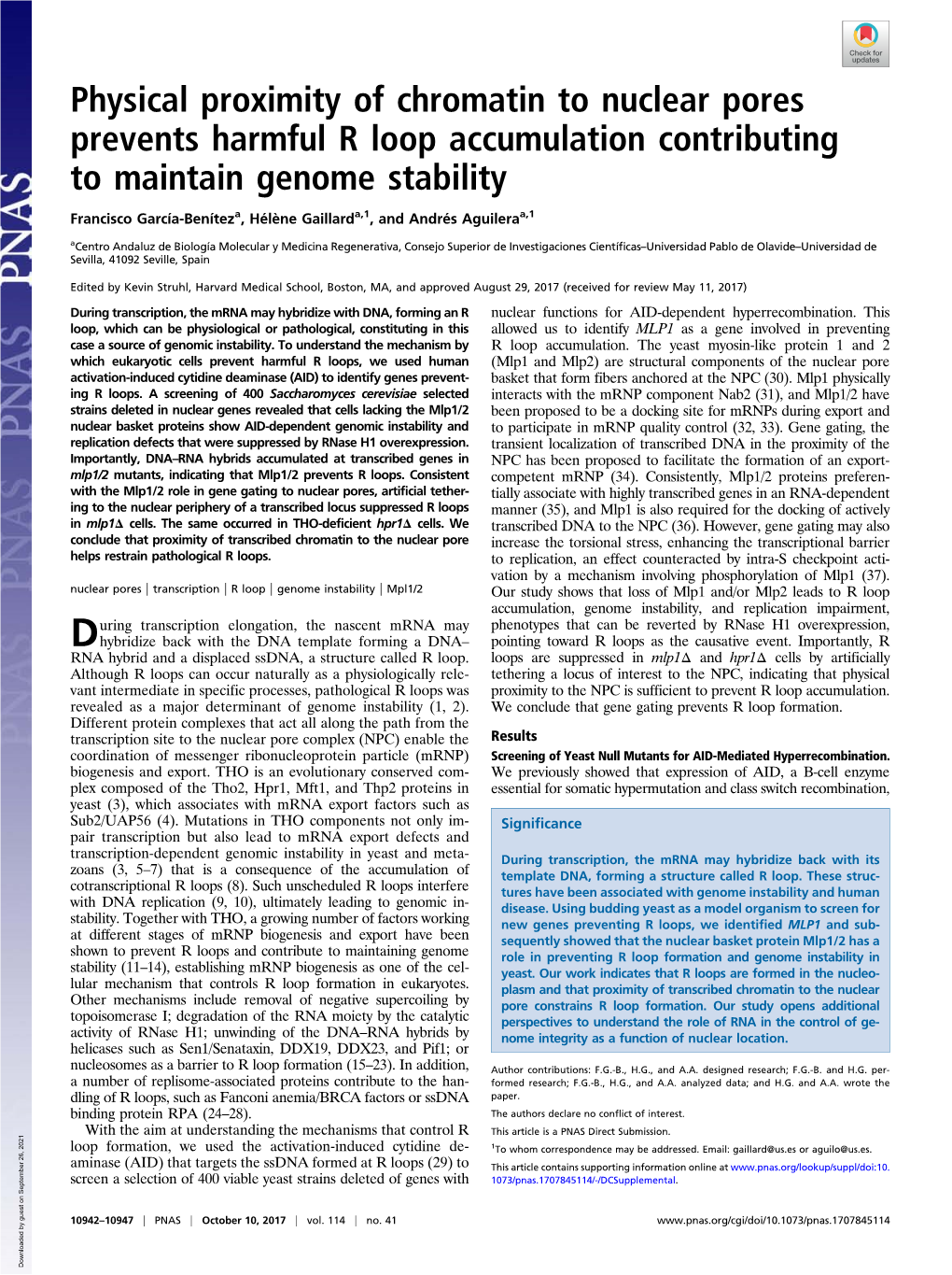Physical Proximity of Chromatin to Nuclear Pores Prevents Harmful R Loop Accumulation Contributing to Maintain Genome Stability