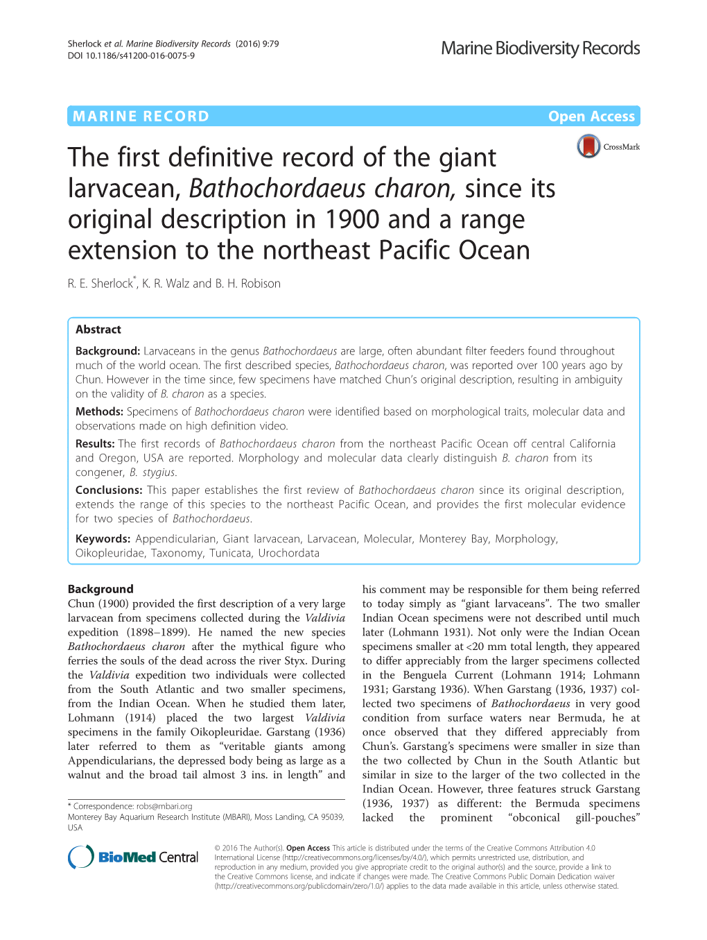 The First Definitive Record of the Giant Larvacean, Bathochordaeus Charon