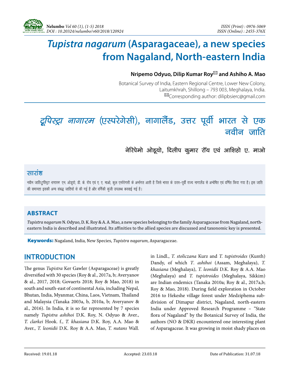 Tupistra Nagarum (Asparagaceae), a New Species from Nagaland, North-Eastern India