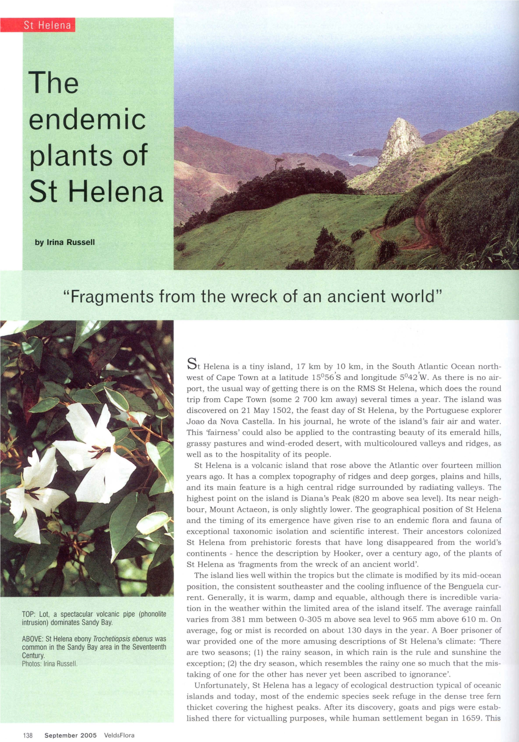 Endemic Plants of St Helena