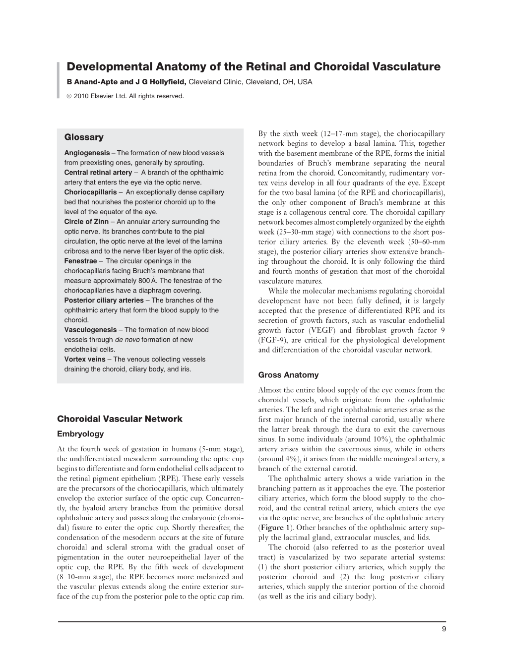 Developmental Anatomy of the Retinal and Choroidal Vasculature B Anand-Apte and J G Hollyfield, Cleveland Clinic, Cleveland, OH, USA