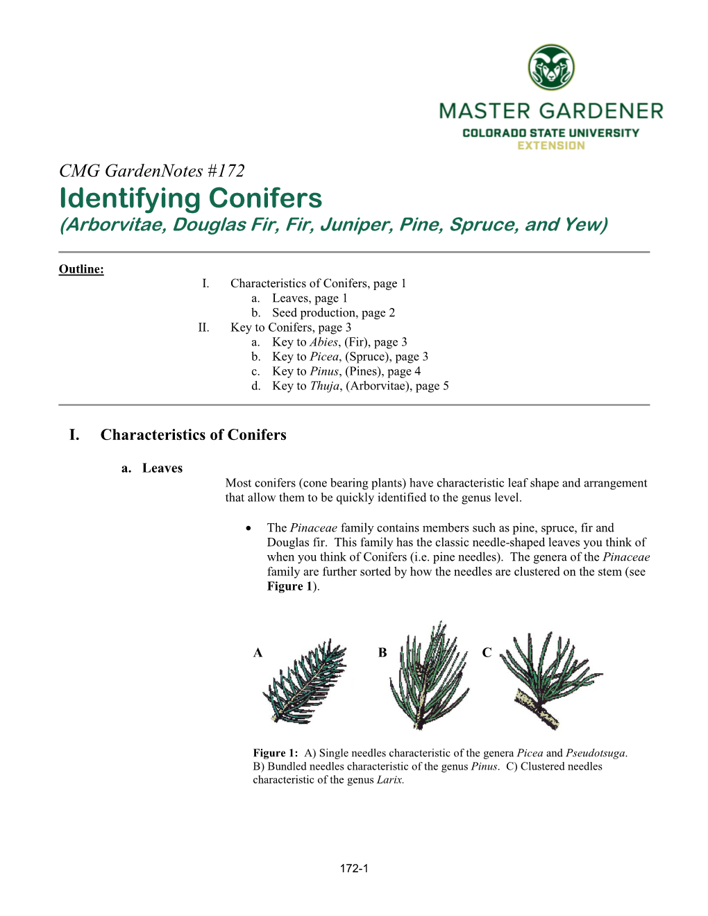 CMG Gardennotes #172 Identifying Conifers (Arborvitae, Douglas Fir, Fir, Juniper, Pine, Spruce, and Yew)