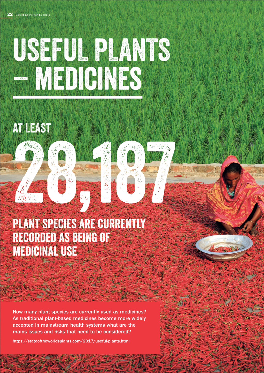 Plant Species Are Currently Recorded As Being of Medicinal Use at LEAST