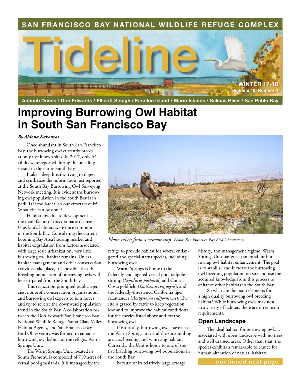 Improving Burrowing Owl Habitat in South San Francisco