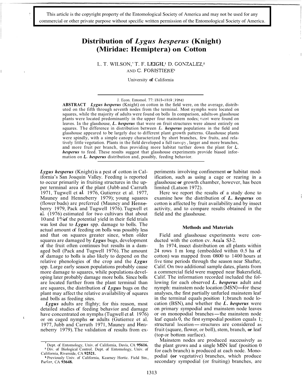 Distribution of Lygus Hesperus (Knight) (Miridae: Hemiptera) on Cotton